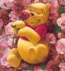 Winnie